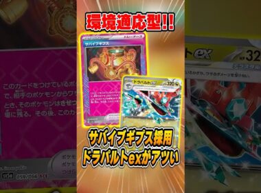 環境に適応した新型のドラパルト！エーススペックはなんとサバイブギプス？準優勝していたので紹介＆解説♪【シティリーグ2026S4】