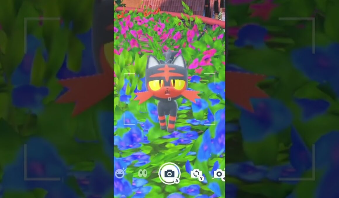 ニャビーを愛でるかい #ポケモン #ニャビー