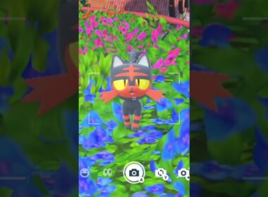 ニャビーを愛でるかい #ポケモン #ニャビー