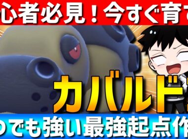 【絶対育てろ】最強起点作成！いつでも強いカバルドンは今はこの型がトレンドです【#ポケモンチャンピオンズ 】