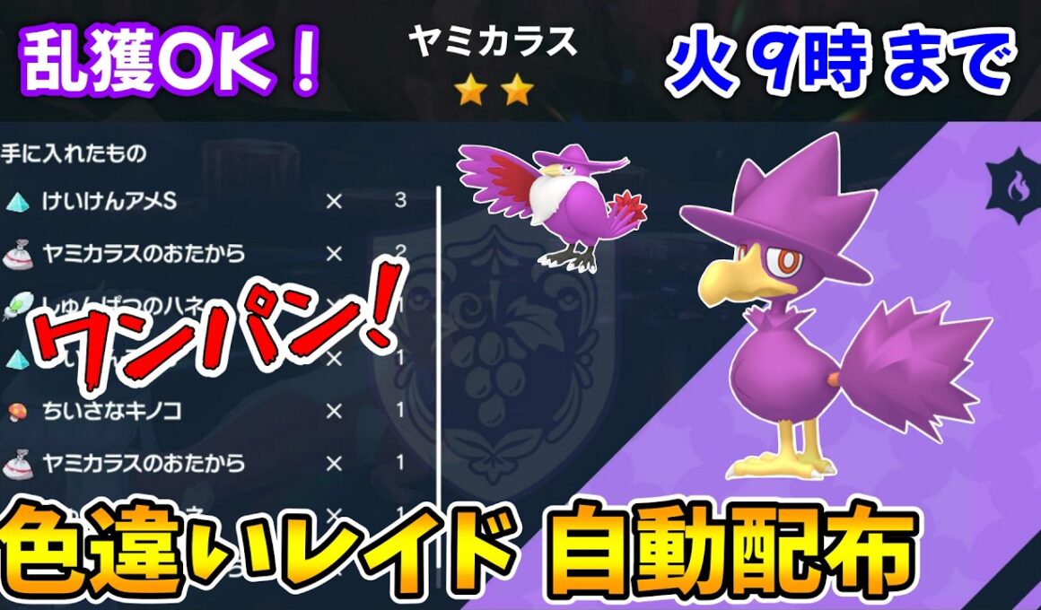 乱獲OK！ヤミカラス色違いレイド自動配布会！【ポケモンSV】