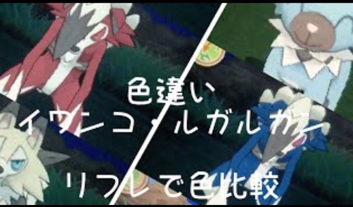 色違いイワンコ、真昼、真夜中のルガルガン リフレで色比較