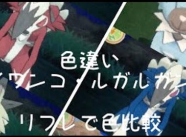 色違いイワンコ、真昼、真夜中のルガルガン リフレで色比較