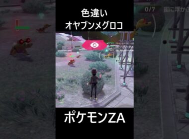 色違いオヤブンメグロコ ポケモンレジェンズZA M次元ラッシュ Pokémon LEGENDS Z-A Mega Dimension #shorts #ポケモン