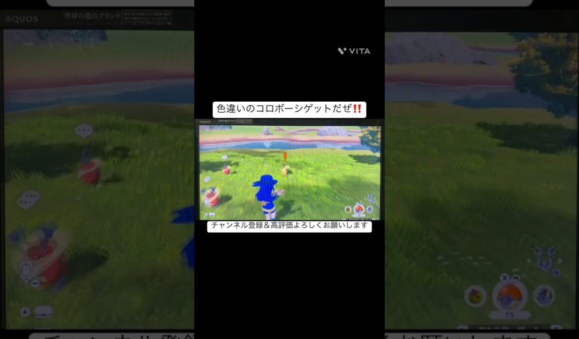 「レジェンズアルセウス」色違いのコロボーシをゲットしてみた #ポケモン #レジェンズアルセウス