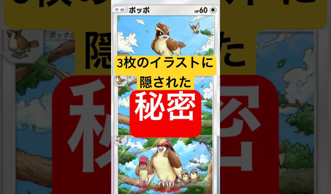 【ポケポケ】ポッポ&ピジョン&ピジョットのイラストの秘密 #ポケポケ #ポケモン #ポケカ