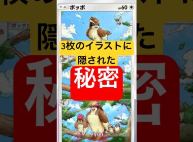 【ポケポケ】ポッポ&ピジョン&ピジョットのイラストの秘密 #ポケポケ #ポケモン #ポケカ