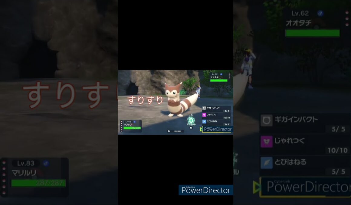 おててすりすり♪なオオタチちゃん！ #shorts