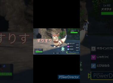 おててすりすり♪なオオタチちゃん！ #shorts