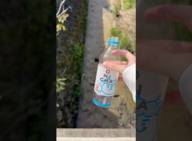 ONICHAを捨ててみたw