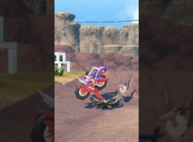 巣で遊んでたら バルジーナ に怒られました #shorts #ポケモンsv #碧の仮面 #碧の円盤