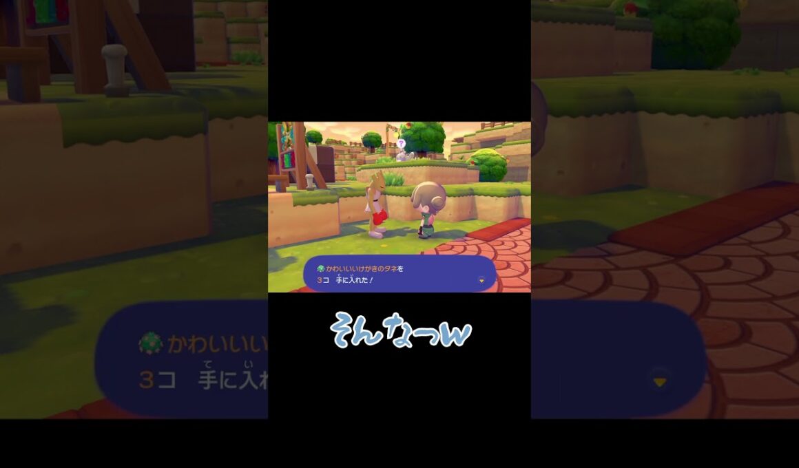 エビワラーがくれたとあるもの【ぽこ あ ポケモン】