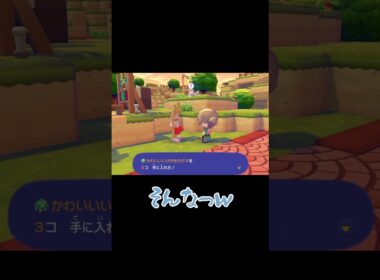 エビワラーがくれたとあるもの【ぽこ あ ポケモン】