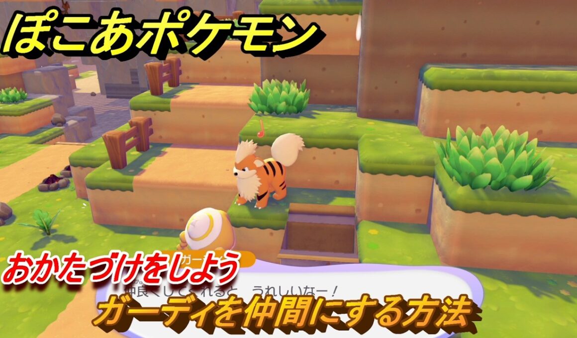 ぽこあポケモン　ガーディを仲間にする方法　おかたづけをしよう　＃７６　【ぽこポケ】