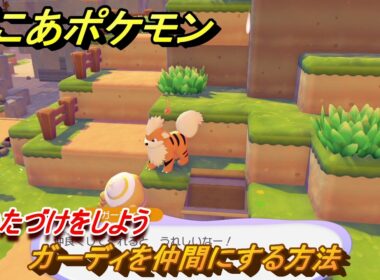 ぽこあポケモン　ガーディを仲間にする方法　おかたづけをしよう　＃７６　【ぽこポケ】