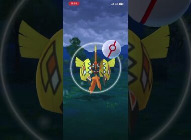 ₄まさかの……？【カプ・コケコ】 #ポケモン #ポケモンgo #pokemongo #るるる団 #pokemon #rururudan #TapuKoko