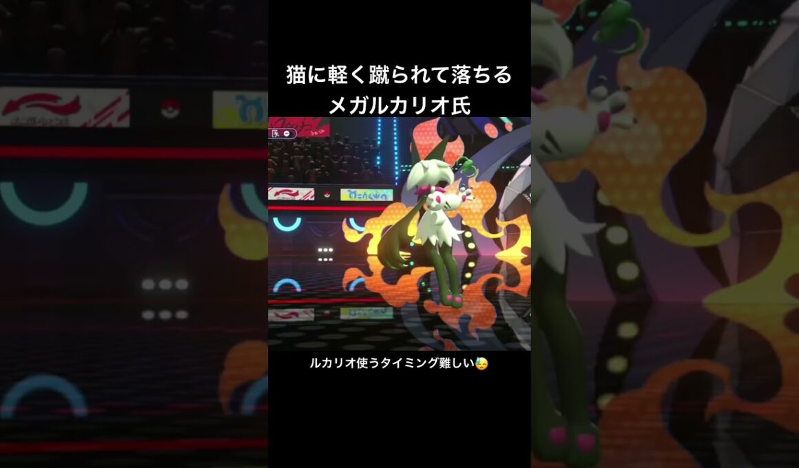 けだぐられるルカリオ氏  #pokemon #pokémon #ポケモン #実況プレイ #ポケモン実況 #ゲーム実況 #pokemonchampions  #ポケモンチャンピオンズ #メガルカリオ