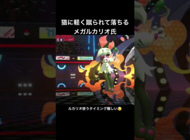 けだぐられるルカリオ氏  #pokemon #pokémon #ポケモン #実況プレイ #ポケモン実況 #ゲーム実況 #pokemonchampions  #ポケモンチャンピオンズ #メガルカリオ