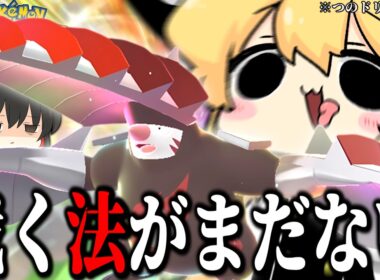 捕まらねぇならメガドリュウズでつのドリルしまくってもいいよな？　一撃のススメ！♯13【ポケモンチャンピオンズ】【ゆっくり実況】
