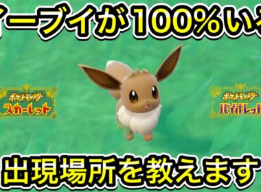 イーブイが100%いる出現場所を教えます
