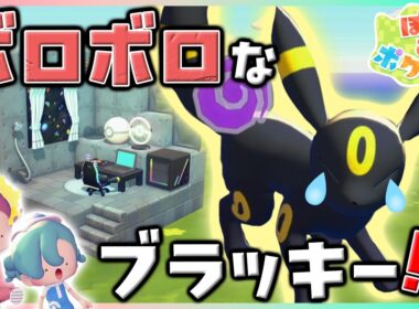 ブラッキーに元気がない！どうしたらいいの…！？【ぽこポケ】
