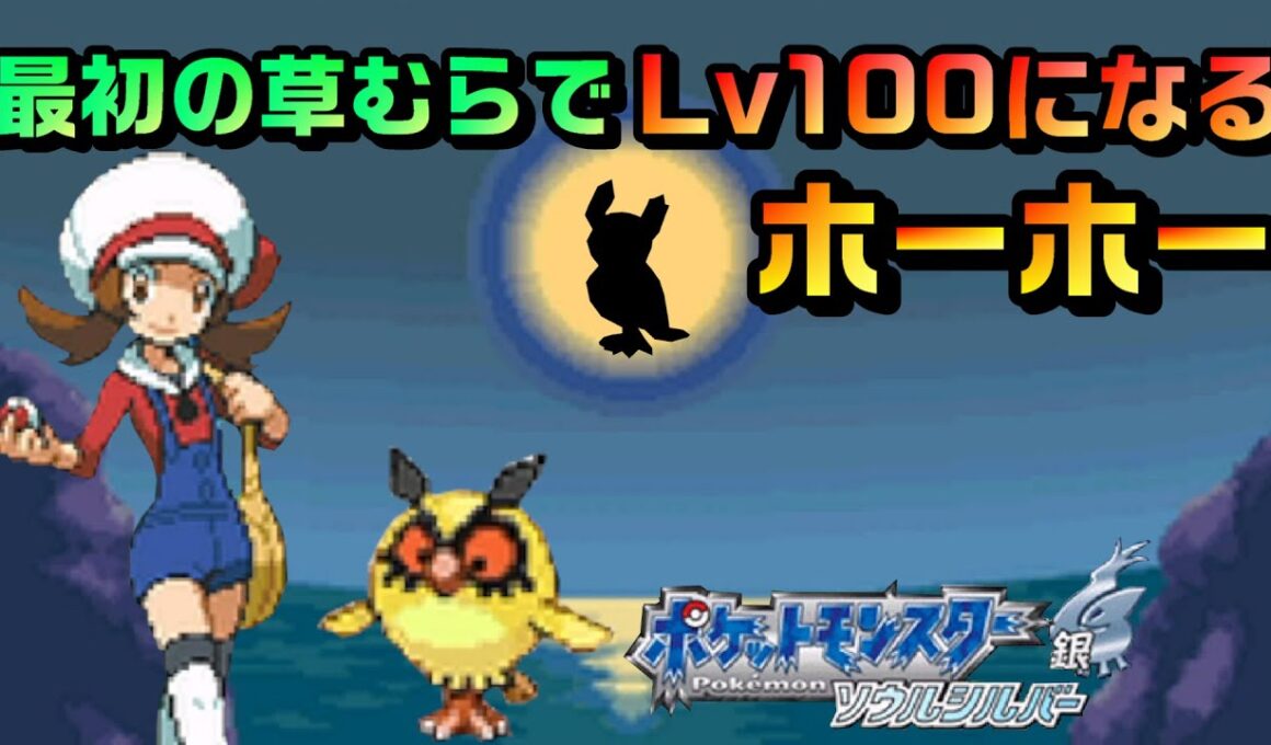 最初の草むらでレベル100になる色違いホーホー【ポケモンHGSS】