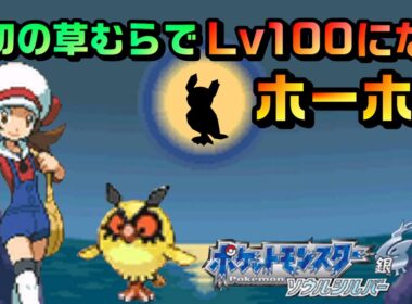 最初の草むらでレベル100になる色違いホーホー【ポケモンHGSS】