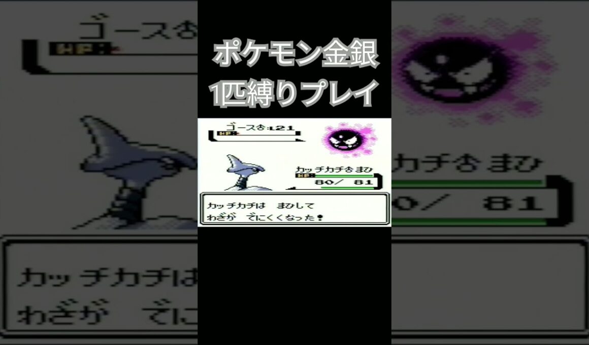 【ポケモン金銀】ポケモン1匹縛りプレイ!!エアームドver【縛りプレイ】#ポケモン金銀 #縛りプレイ #エアームド #ゲーム実況