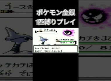 【ポケモン金銀】ポケモン1匹縛りプレイ!!エアームドver【縛りプレイ】#ポケモン金銀 #縛りプレイ #エアームド #ゲーム実況