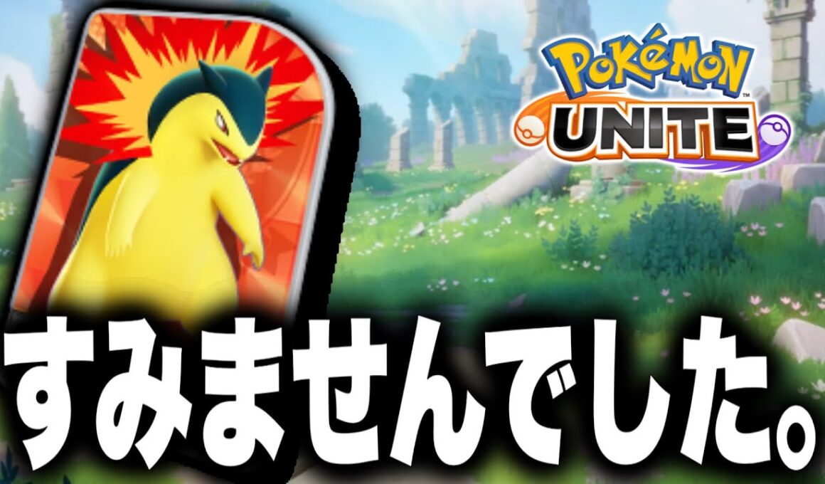 バクフーンの動画について