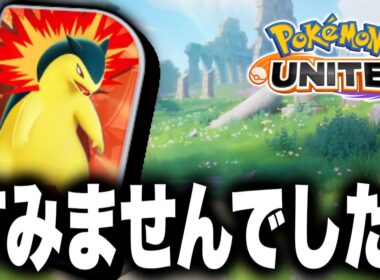 バクフーンの動画について