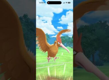 【スーパーリーグ】採用率上昇中のオニドリル、使ってみたらやっぱ強かった #ポケモンGO #goバトルリーグ #オニドリル