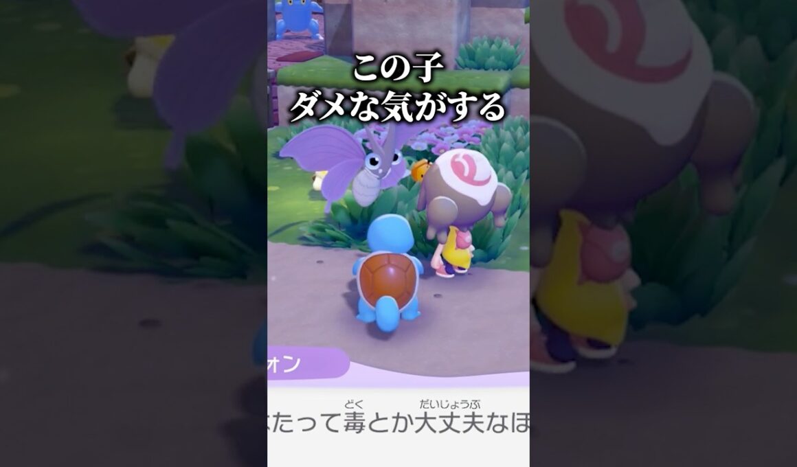 ポケモン初心者がポッポとモルフォンに出会った時の反応【ぽこポケ】#ぽこあポケモン