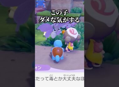 ポケモン初心者がポッポとモルフォンに出会った時の反応【ぽこポケ】#ぽこあポケモン