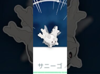 光って欲しいやつは、光らない！【ポケモンGO】