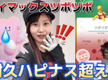【衝撃】ハピナス超え⁉︎ツボツボの耐久が異次元すぎた