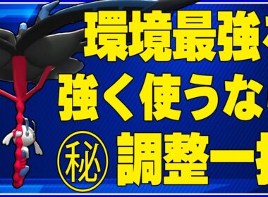 【paytowin】全体的にデフレさせられた環境で1人だけ空気が読めないフルパワーポケモン、フラエッテを使うしかない【champions】