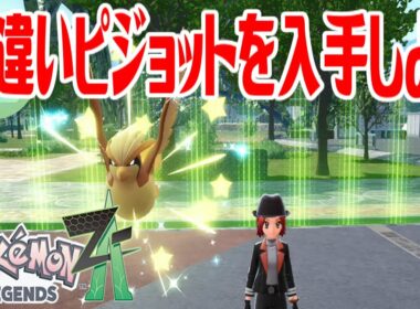 【ポケモンZ A】色違いピジョットを入手しよう 進化入手【Pokémon LEGENDS Z A】