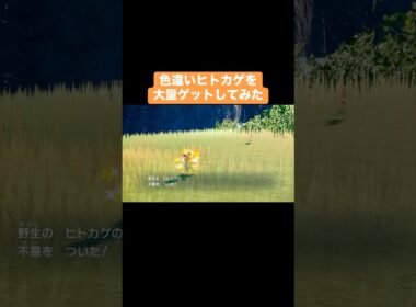 色違いヒトカゲを大量ゲットしてみた【ポケモンSV】