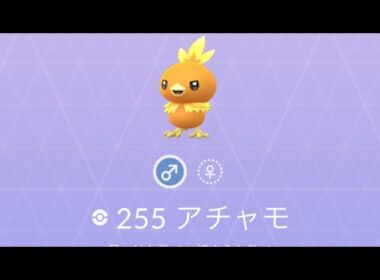 ポケモンGO アチャモ ゲット！
