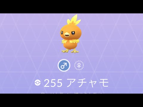 ポケモンGO アチャモ ゲット！