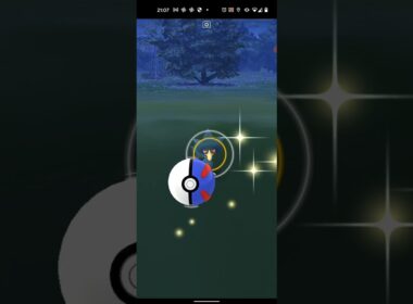 【ポケモンGO】ヤミカラスをワンショット・エクセレント・カーブスローでゲットしただけの動画