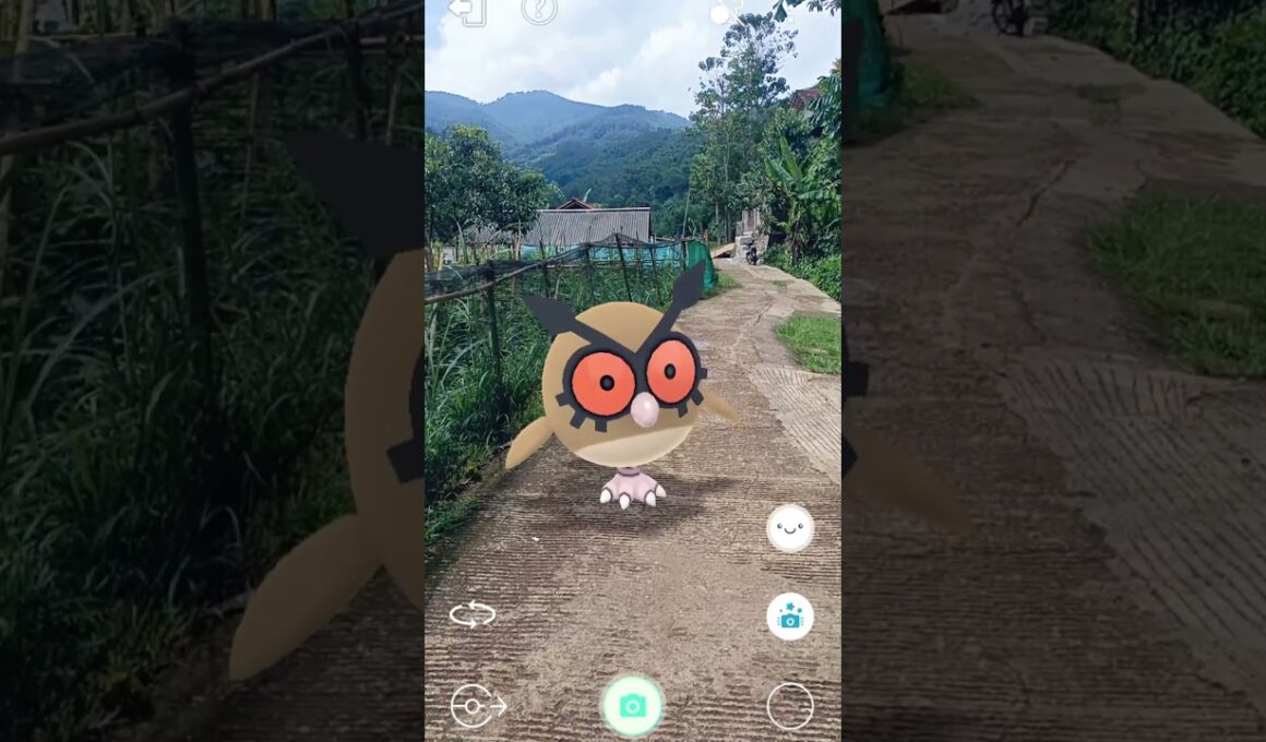 Transport Pokemon #364 #pokemon #ポケモン