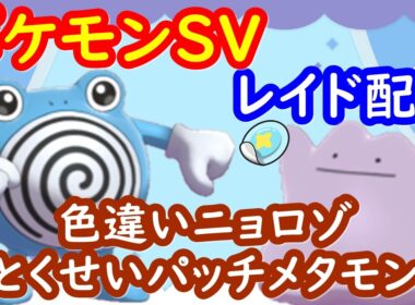 🔴【ポケモンSV】色違いニョロゾ配布レイド＋とくせいパッチメタモンレイド＋視聴者同士の交流所（攻略情報・レイド募集・ポケモン交換・ポケモン対戦・攻略情報など）2026年4月29日 朝～