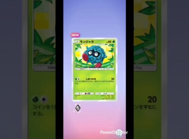 【ポケポケ】毎日ガチャ🔴ジュプトル#pokemon #pokemoncards #ポケモン #ポケモンカード #ポケモンsv #おれポケ