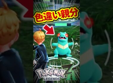 【激レア】色違いオヤブンワニノコと遭遇‼そして...【レジェンズZA】#shorts