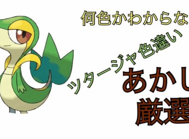 ポケモンSVツタージャあかし色違い厳選！