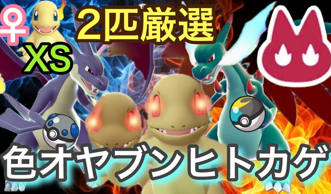 ムンボとヘビボで色違いオヤブンヒトカゲ２匹厳選！＋XSサイズ♀色違いヒトカゲきた！【ポケモンレジェンズZA】