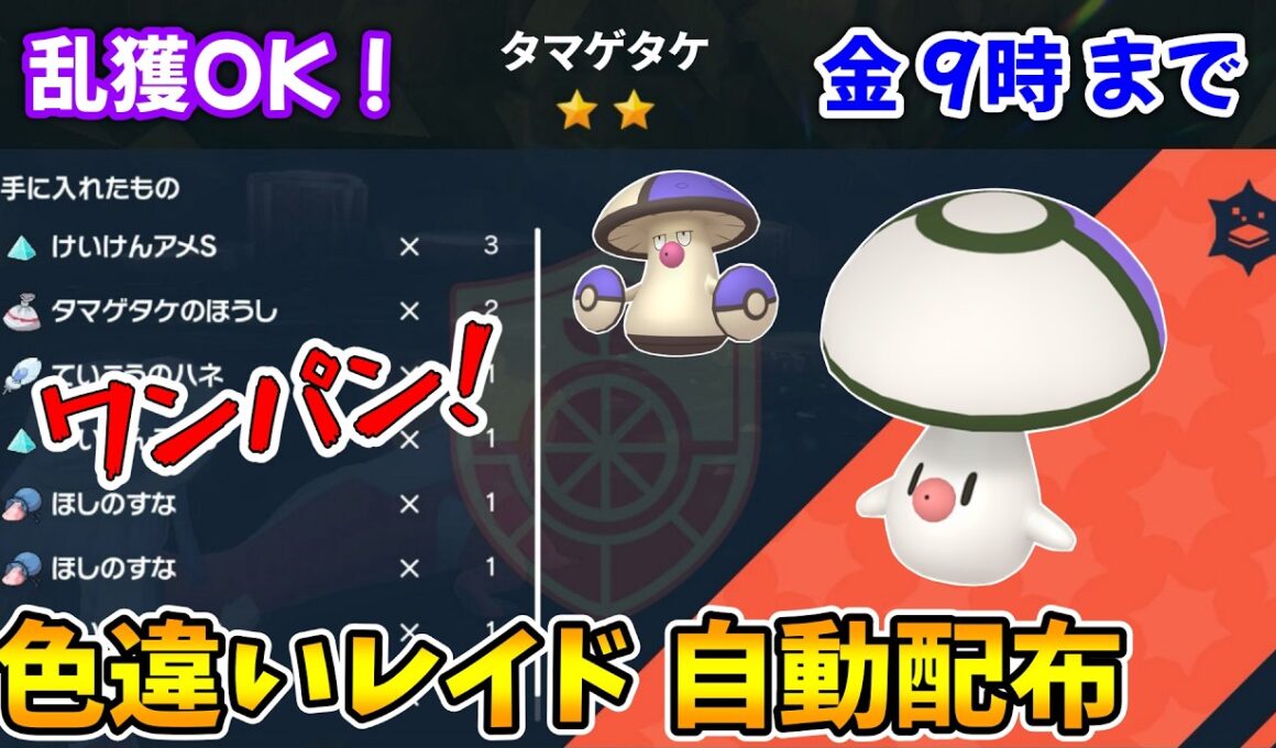 乱獲OK！タマゲタケ色違いレイド自動配布会！【ポケモンSV】
