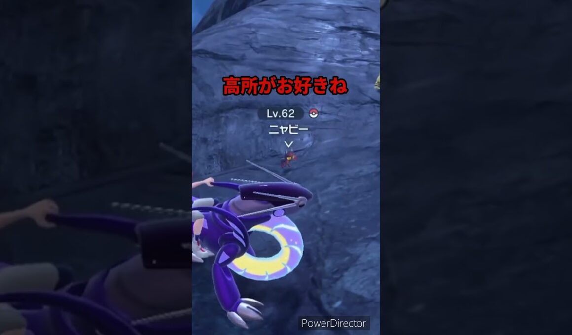 【ポケモンバイオレット】やっぱりニャビーさんは高所がお好きなんですね　#ポケモンバイオレット #ゲームリハビリ #切り抜き #shorts